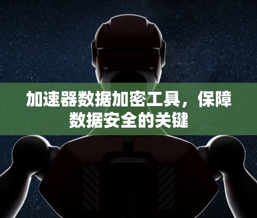 加速器数据加密工具，保障数据安全的关键