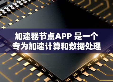 加速器节点APP 是一个专为加速计算和数据处理任务设计的应用程序，旨在通过并行计算和优化算法来提高数据处理效率。以下是对该应用程序的详细分析和总结