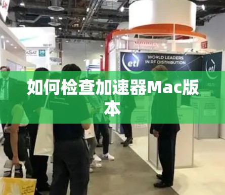 如何检查加速器Mac版本