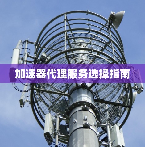 加速器代理服务选择指南