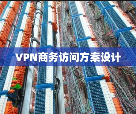 VPN商务访问方案设计
