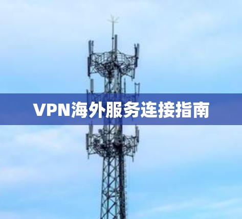 VPN海外服务连接指南