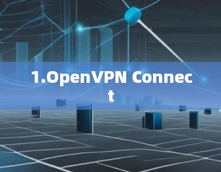1.OpenVPN Connect