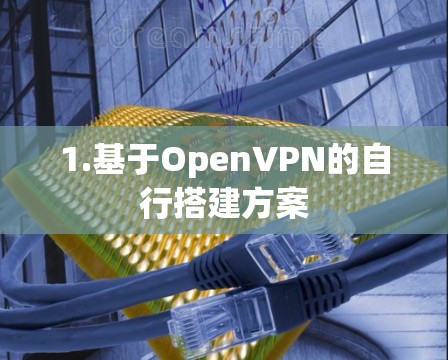 1.基于OpenVPN的自行搭建方案