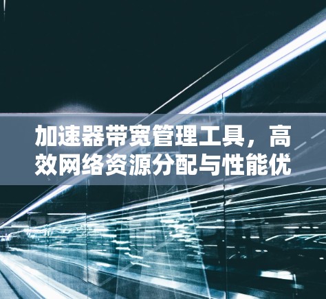 加速器带宽管理工具，高效网络资源分配与性能优化