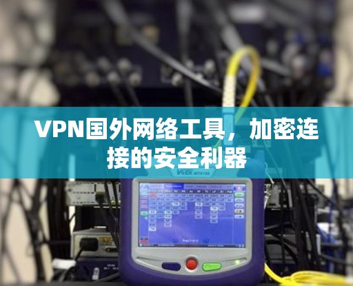 VPN国外网络工具，加密连接的安全利器