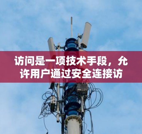 访问是一项技术手段，允许用户通过安全连接访问不同国家的网络资源和内容。以下是对该主题的详细总结