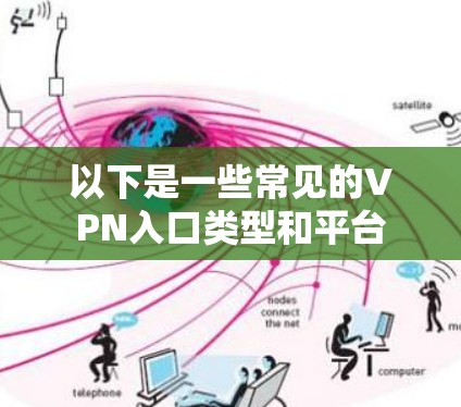 以下是一些常见的VPN入口类型和平台