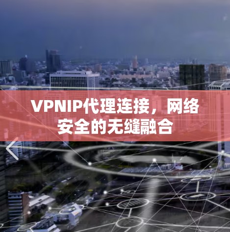 VPNIP代理连接，网络安全的无缝融合