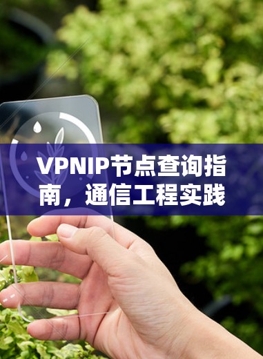 VPNIP节点查询指南，通信工程实践