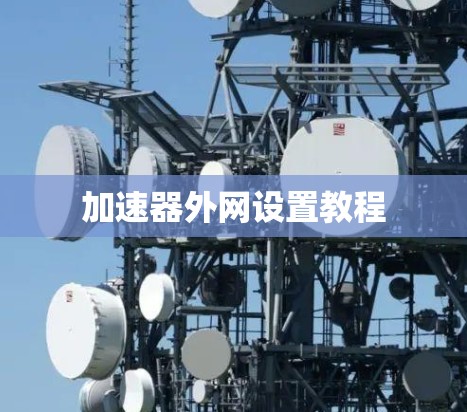 加速器外网设置教程