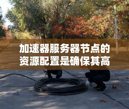 加速器服务器节点的资源配置是确保其高效运行的关键。以下是对各资源配置因素的详细分析和优化建议