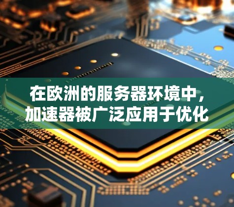 在欧洲的服务器环境中，加速器被广泛应用于优化数据传输性能，尤其是在高效处理大量数据请求和跨数据中心通信方面。以下是对加速器在欧洲服务器中应用的详细分析