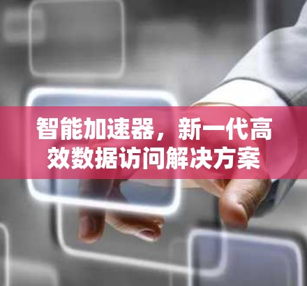 智能加速器，新一代高效数据访问解决方案