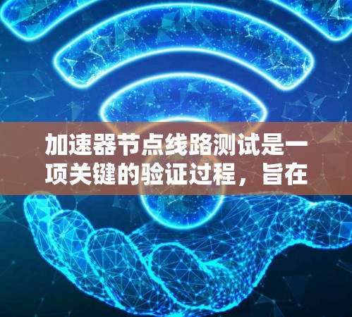 加速器节点线路测试是一项关键的验证过程，旨在确保加速器节点在设计和性能上的正确性。以下是对这一测试的详细分步说明