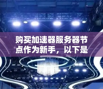 购买加速器服务器节点作为新手，以下是你可以按照的步骤指南