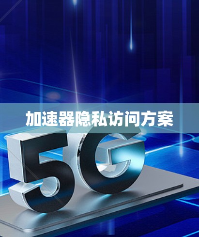 加速器隐私访问方案