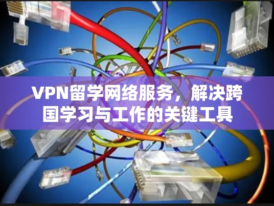 VPN留学网络服务，解决跨国学习与工作的关键工具