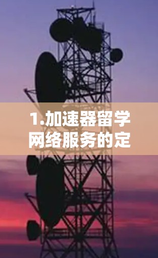 1.加速器留学网络服务的定义与功能