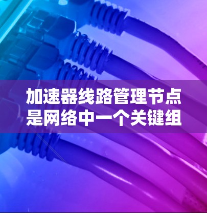 加速器线路管理节点是网络中一个关键组件，负责优化数据传输性能，提升带宽和减少延迟。以下是对加速器线路管理节点的详细分析和总结