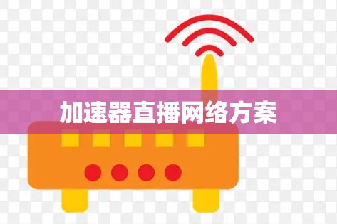 加速器直播网络方案