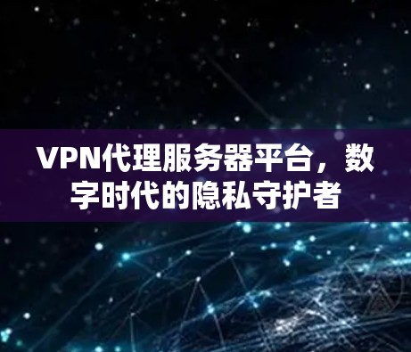 VPN代理服务器平台，数字时代的隐私守护者