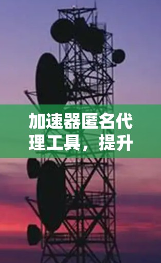 加速器匿名代理工具，提升网络性能与数据安全