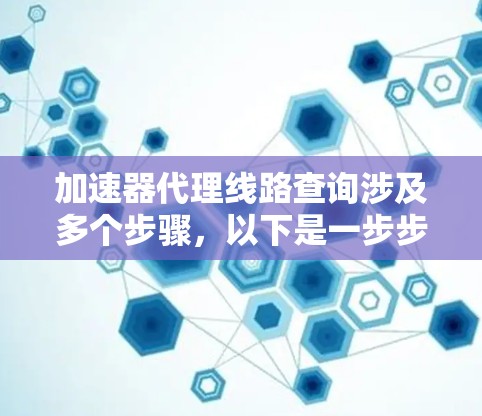 加速器代理线路查询涉及多个步骤，以下是一步步的解决方案